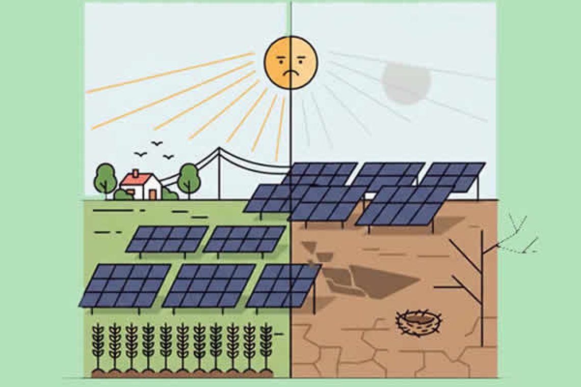 Energía Solar en el Campo: ¿Un Rayo de Esperanza o una Sombra de Preocupación?