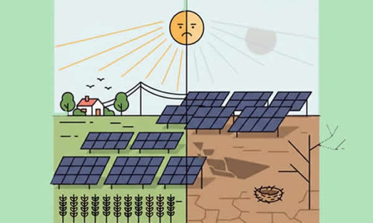 Energía Solar en el Campo: ¿Un Rayo de Esperanza o una Sombra de Preocupación?